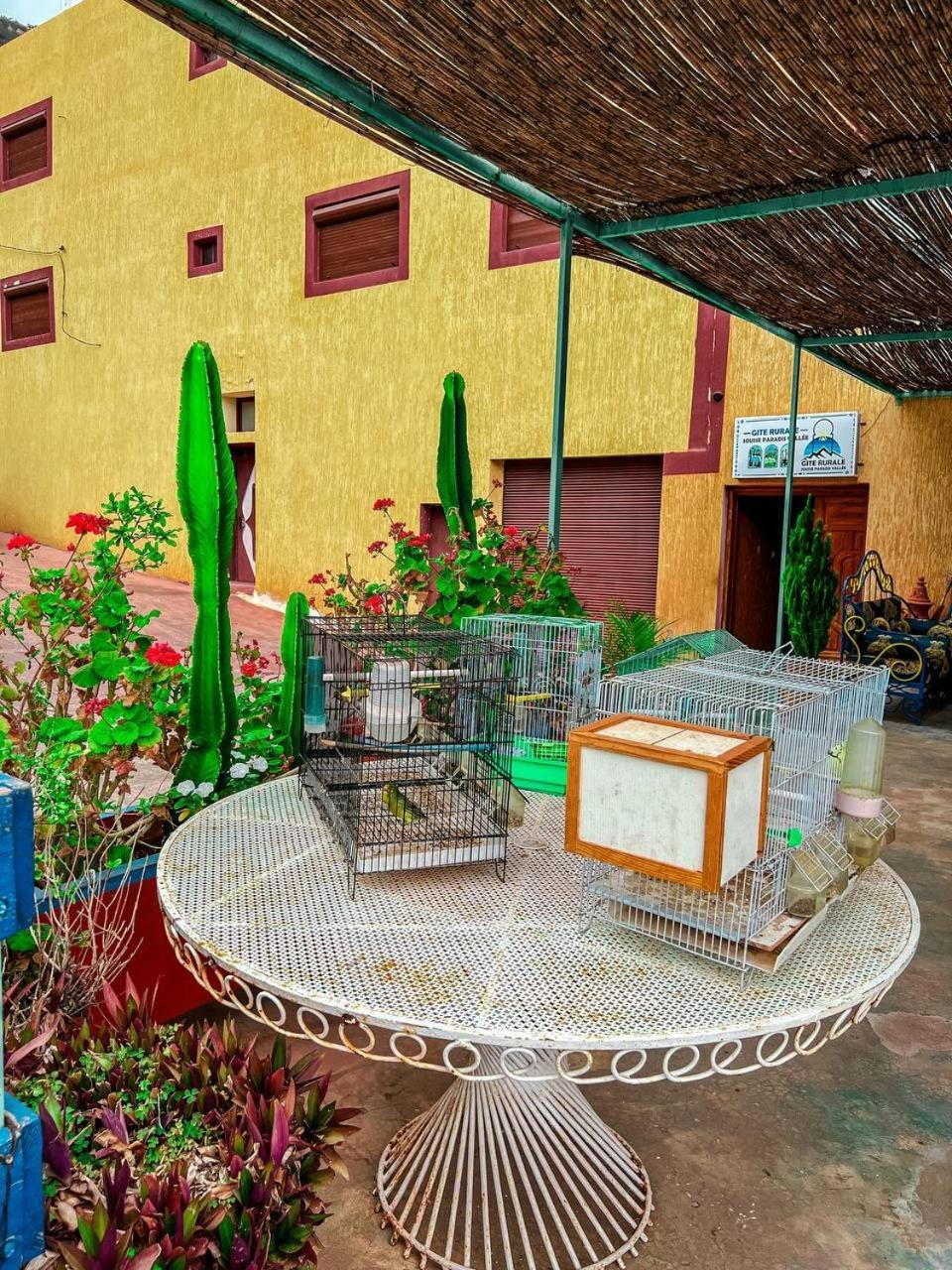 Gite Rurale Sousse Paradis Vallee Tagherat Anekrim 외부 사진